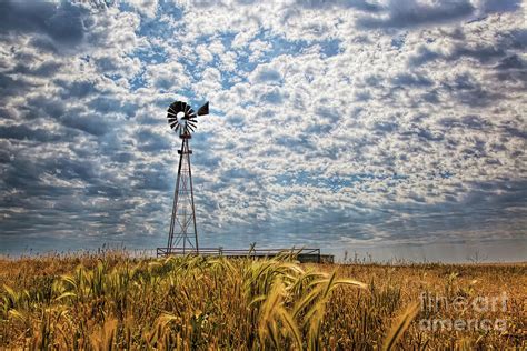 Whispering Winds Across Timeless Plains - ethereal melodies woven with grounding nature sounds for profound relaxation.